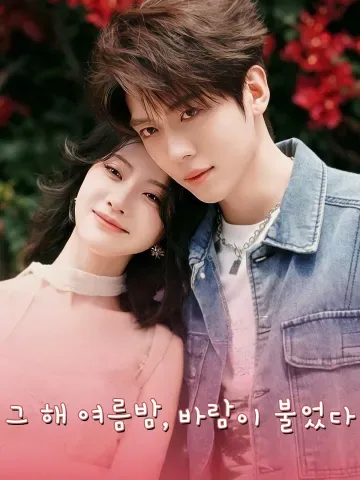 그 해 여름밤, 바람이 불었다 (나년하야만풍취)
