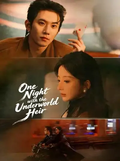 One Night with the Underworld Heir