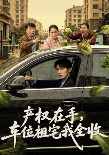 产权在手，车位祖宅我全收