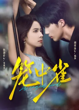 笼中雀 iQIYI