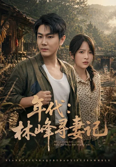 年代：林峰寻妻记