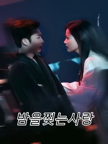 찢겨진 밤 FineDrama