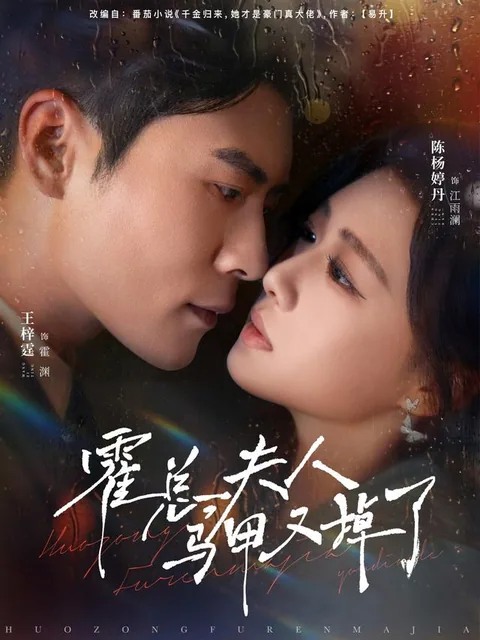 회장님, 부인은 진짜 명의입니다 HongGuo