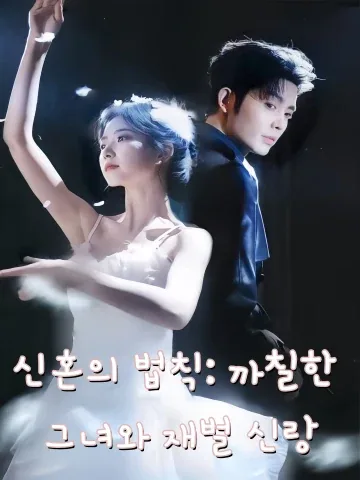 신혼의 법칙: 까칠한 그녀와 재벌 신랑 (경항신혼：교만정리)