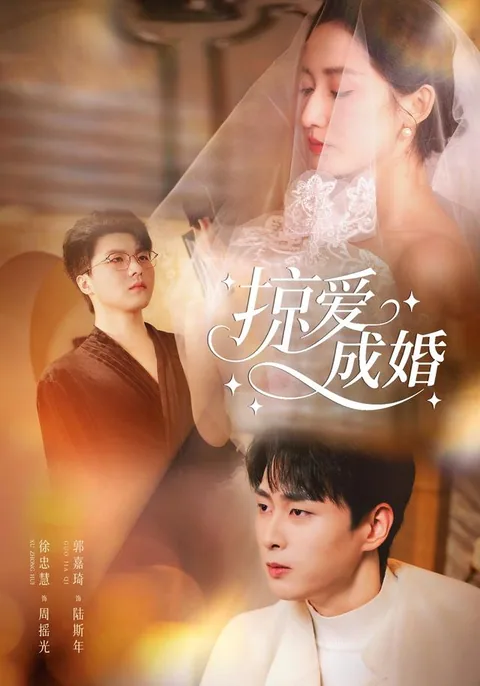 掠爱成婚
