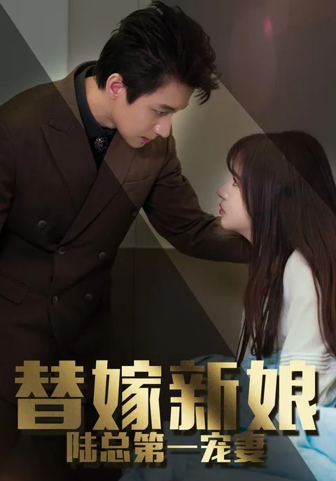 替嫁新娘：陆总的第一宠妻