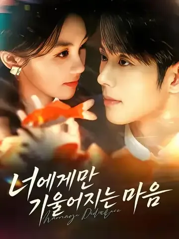너에게만 기울어지는 마음