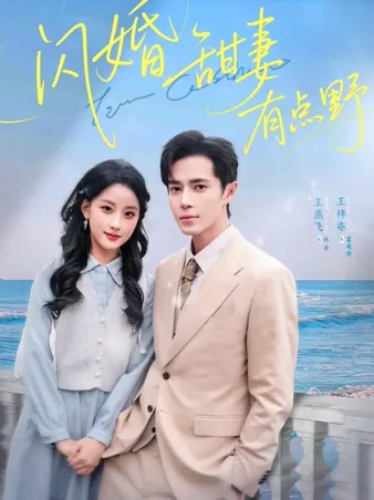 闪婚甜妻有点野