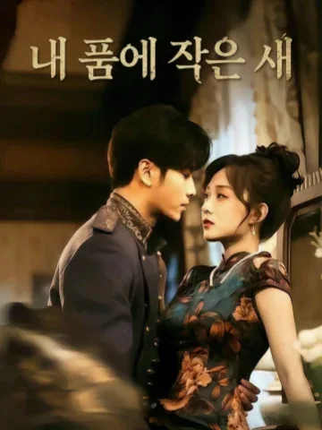 내 품에 작은 새 KDramaReels