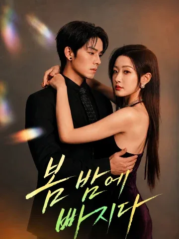 봄날 밤에 빠지다 KDramaReels