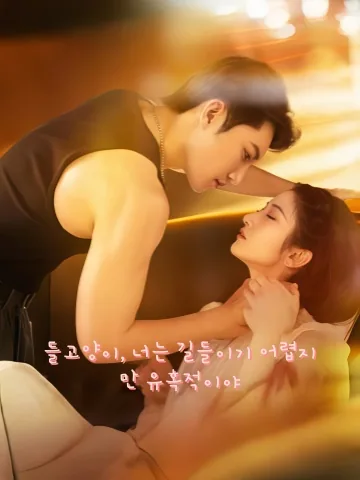 야생 고양이 길들이기 KDramaReels