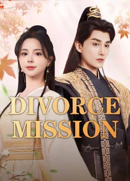 Divorce Mission
