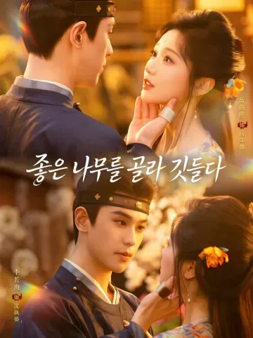 택목이서 (择木而栖)