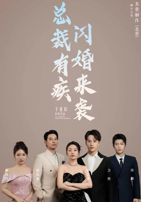 总裁有疾闪婚来袭
