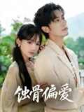 蚀骨偏爱
