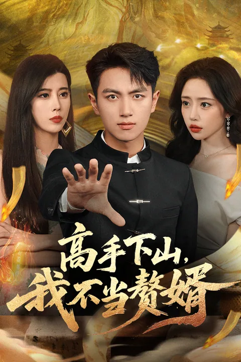 高手下山，我不当赘婿