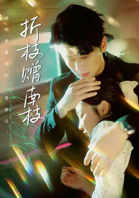 折枝赠南枝 HongGuo