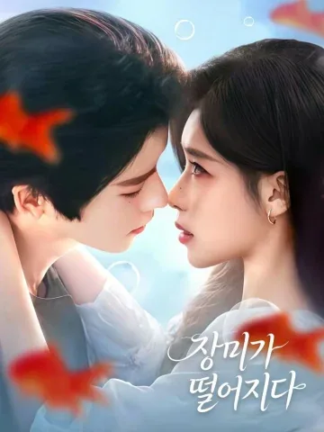 장미추락 (蔷薇坠落)