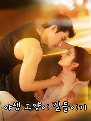 야생 고양이 길들이기 (야묘난순)