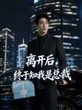 离开后，终于知我是总裁