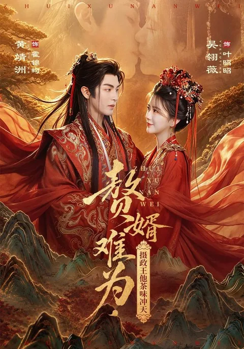 데릴사위의 고충, 섭정왕의 가짜 다정함 HongGuo