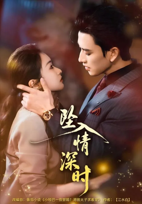 추입정심시 (坠入情深时) HongGuo