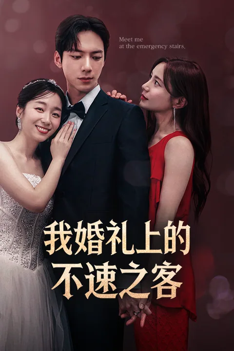 我婚礼上的不速之客