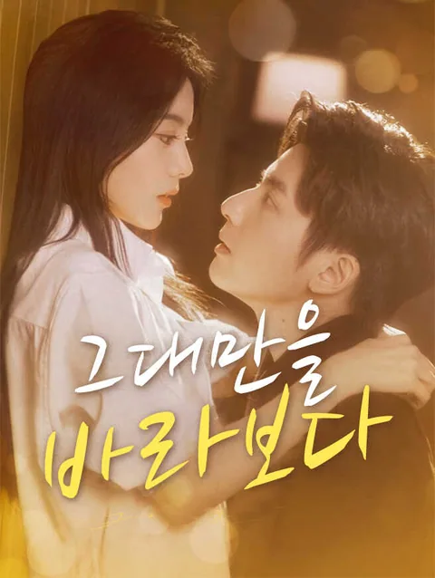 그대만을 바라보다