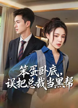 笨蛋卧底，误把总裁当黑帮 iQIYI