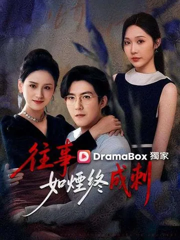 왕사여연종성자 (往事如煙終成刺)