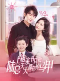 上相亲节目后，陆总天天都在掉马甲