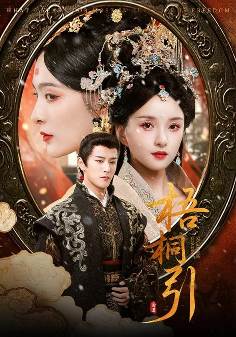梧桐引 HongGuo