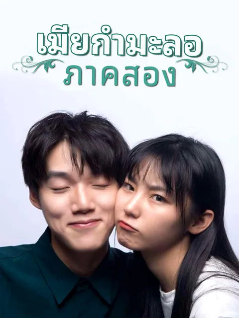 The Stand-In Wife: Love Meets Its Match