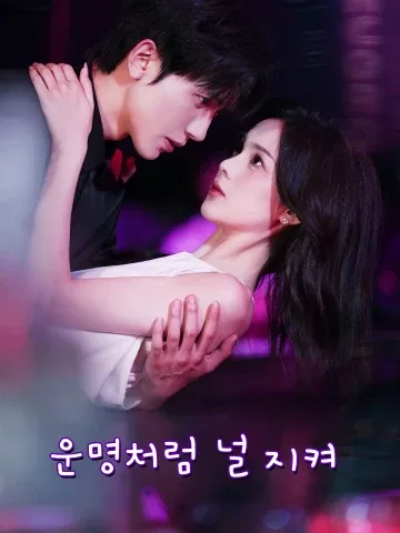 운명처럼 널 지켜 (호니불지시임무)