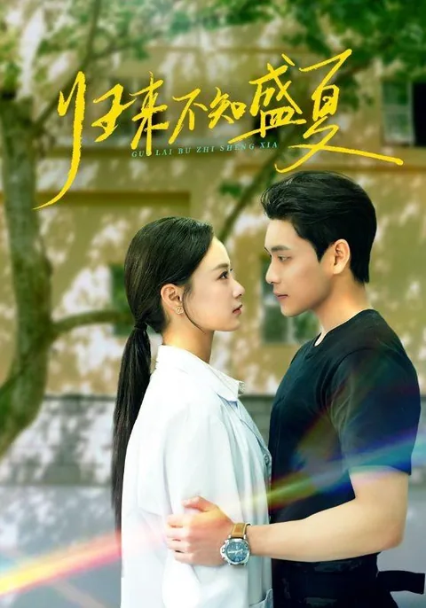 归来不知盛夏 HongGuo