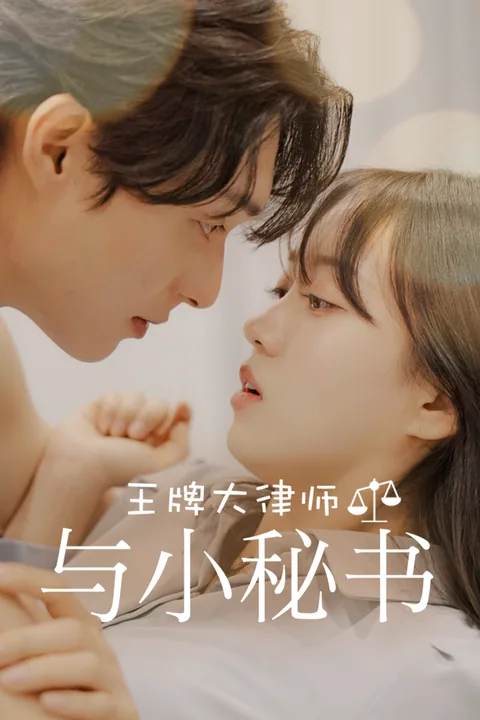 王牌大律师与小秘书