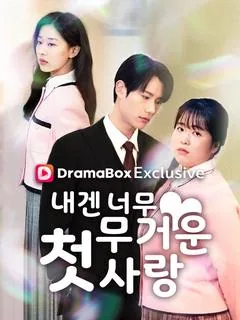 내겐 너무 무거운 첫사랑 (순착애의분향니)