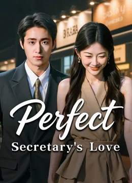 Perfect Secretary's Love