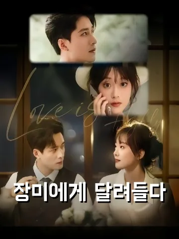 박향매괴 (扑向玫瑰) KDramaReels
