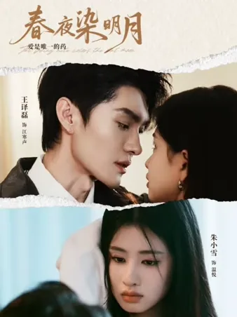 春夜染明月 iQIYI