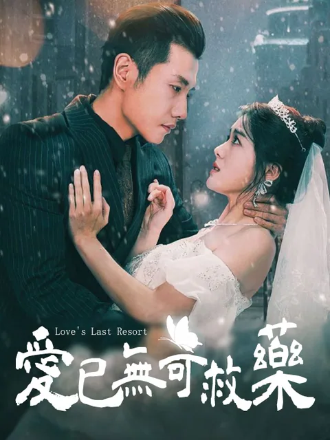 爱已无可救药