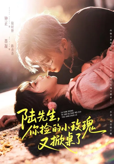 陆先生，你捡的小玫瑰又掀桌了
