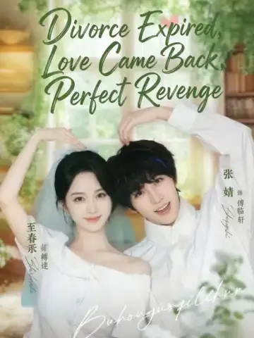Divorce Expired，Love Came Back