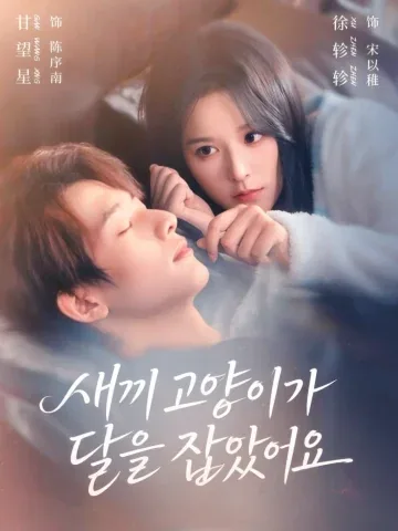 달을 품은 고양이