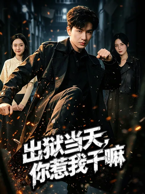出狱当天，你惹我干嘛？ FlexTV