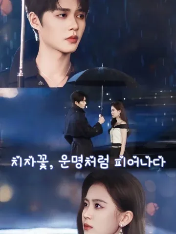 치자꽃, 운명처럼 피어나다 (치치복치치)