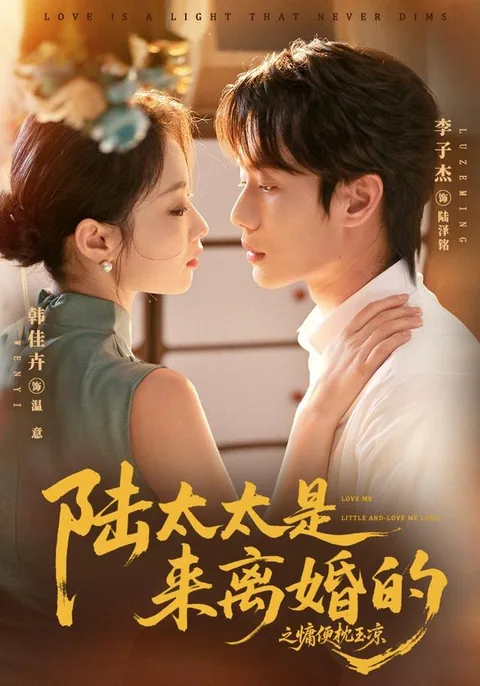 루 부인, 이혼하러 왔습니다 HongGuo