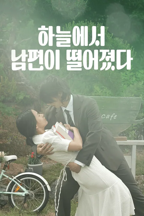 하늘에서 남편이 떨어졌다