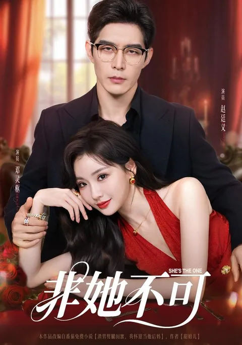 비저불가 (非她不可) HongGuo