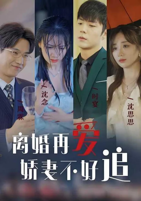 离婚再爱 娇妻不好追